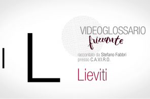 Videoglossario Frizzante: il Gruppo CAVIRO ci racconta la L di Lieviti